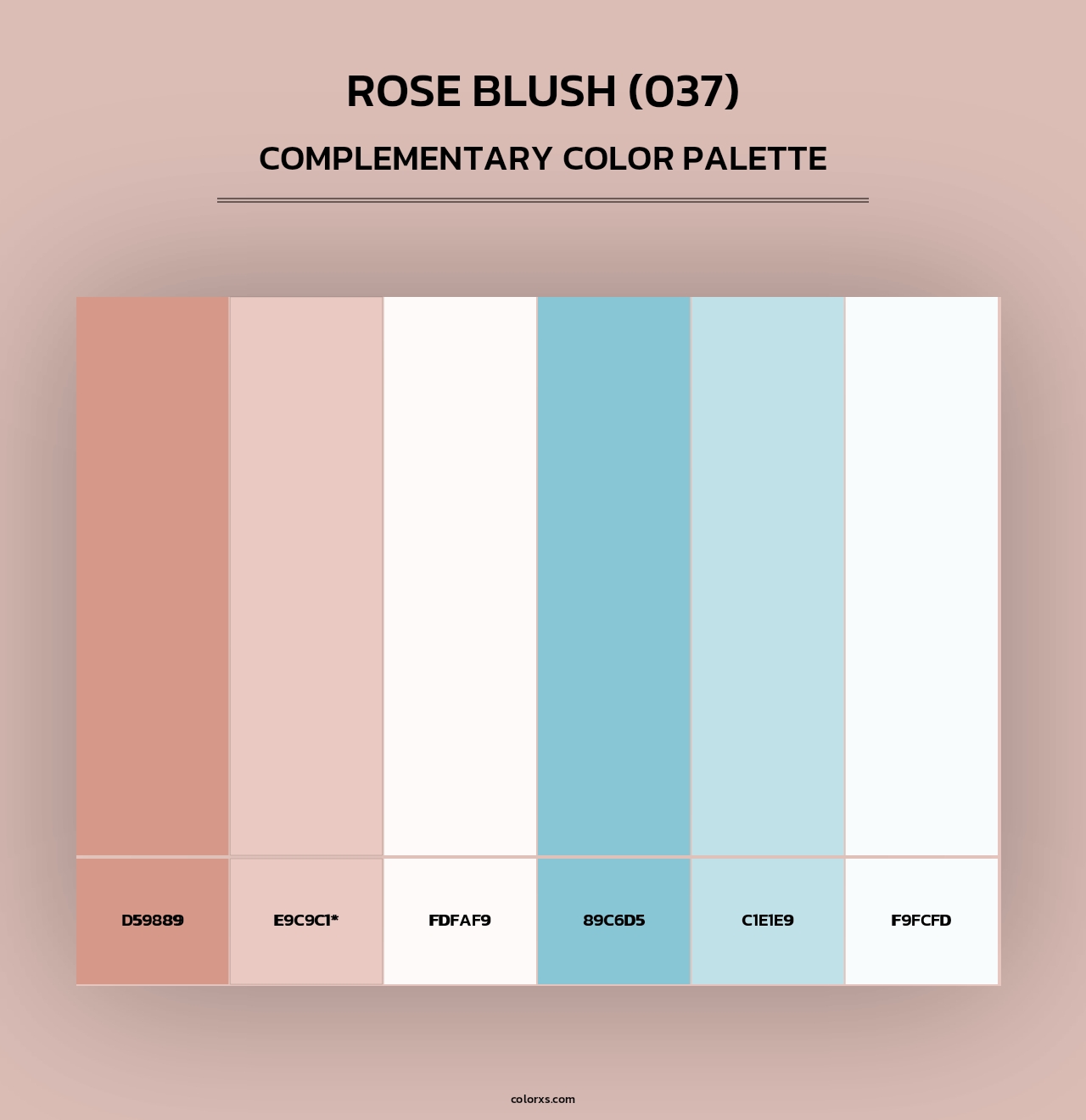 Rose Blush (037) - Complementary Color Palette
