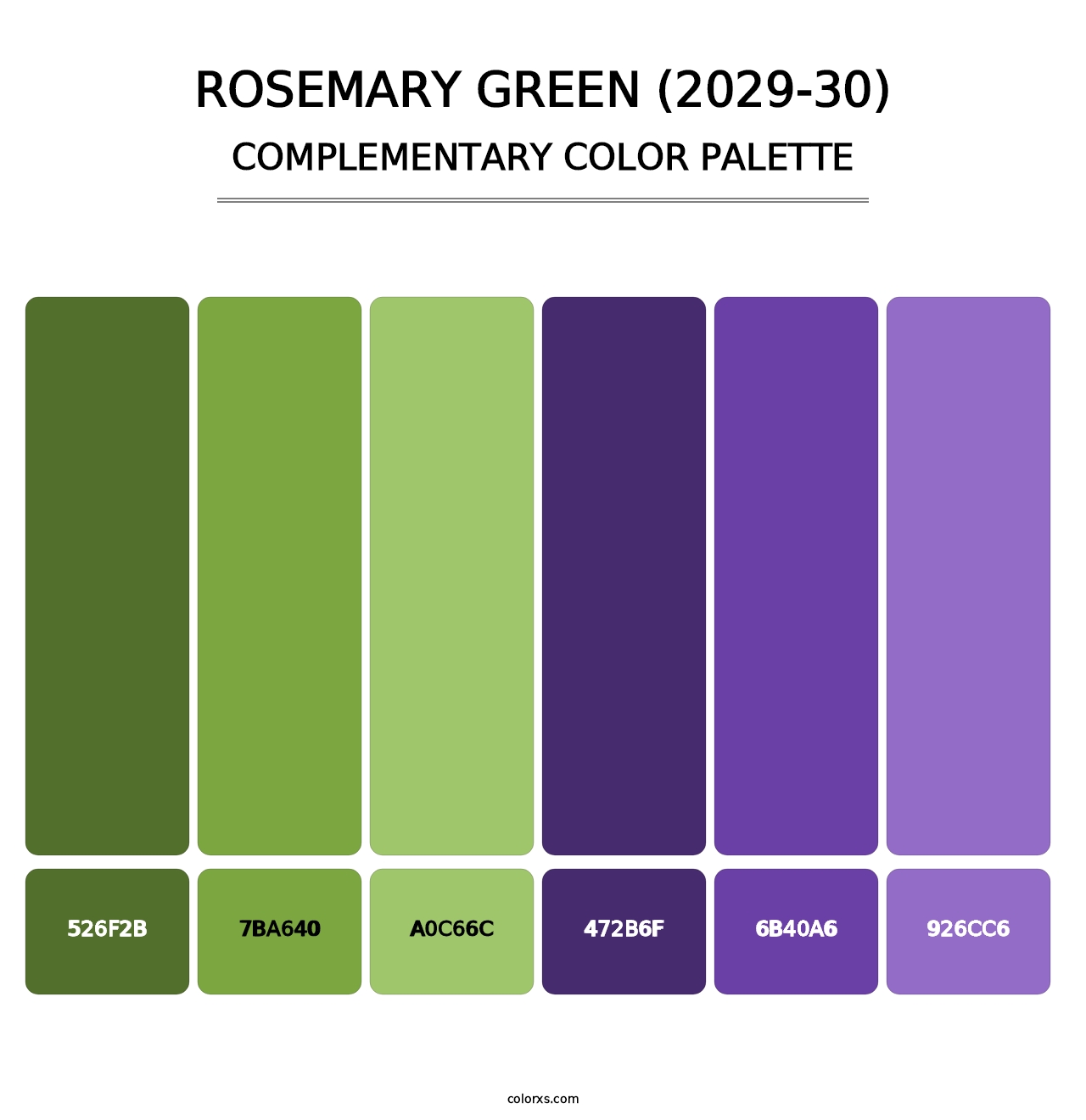 Rosemary Green (2029-30) - Complementary Color Palette