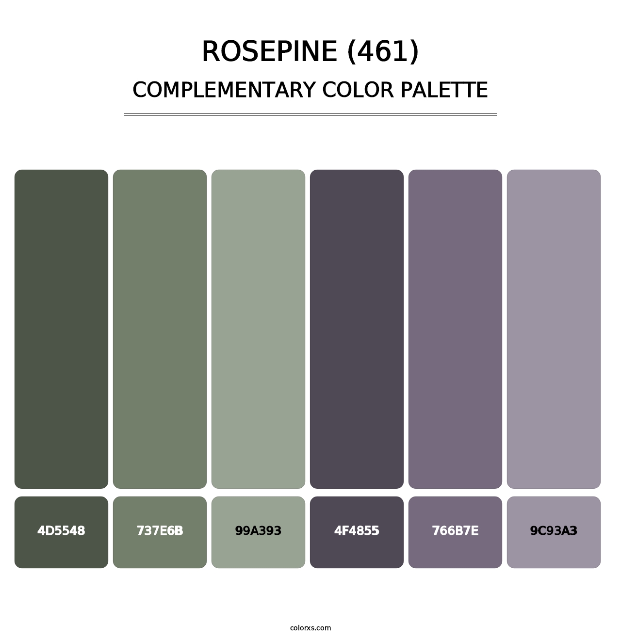 Rosepine (461) - Complementary Color Palette