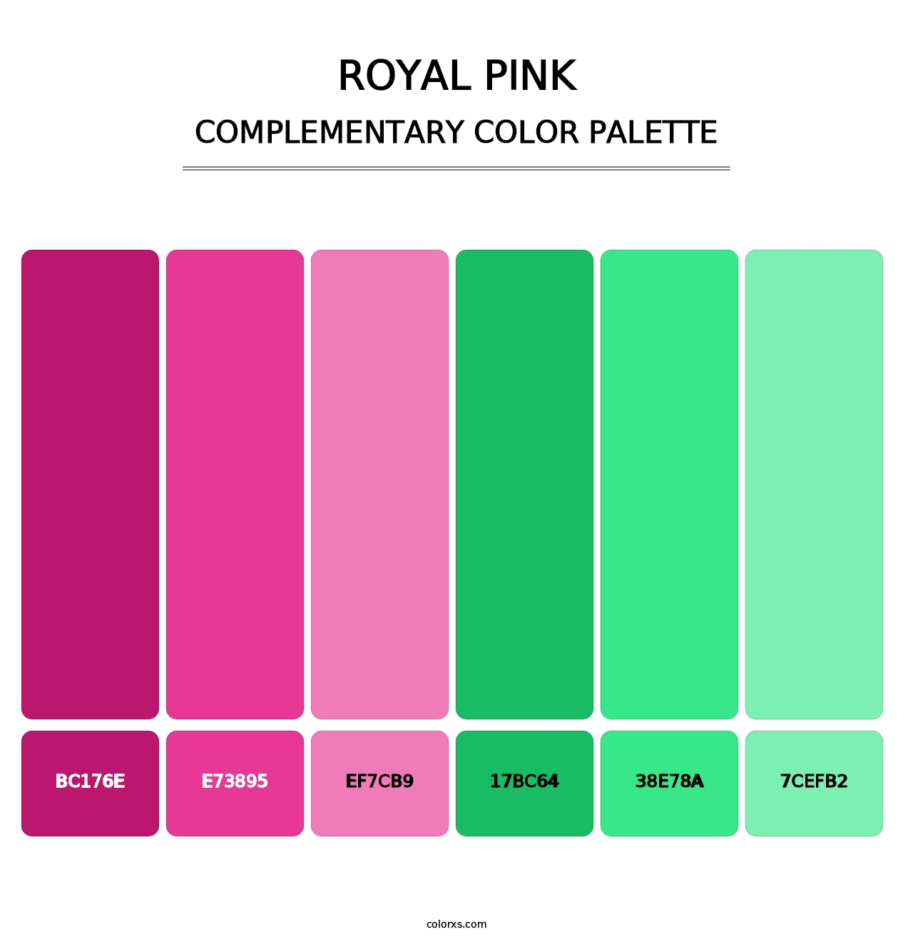 Royal Pink - Complementary Color Palette