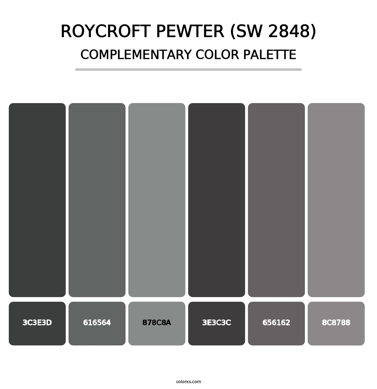 Roycroft Pewter (SW 2848) - Complementary Color Palette