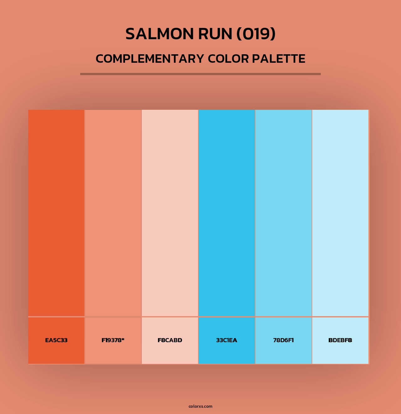 Salmon Run (019) - Complementary Color Palette
