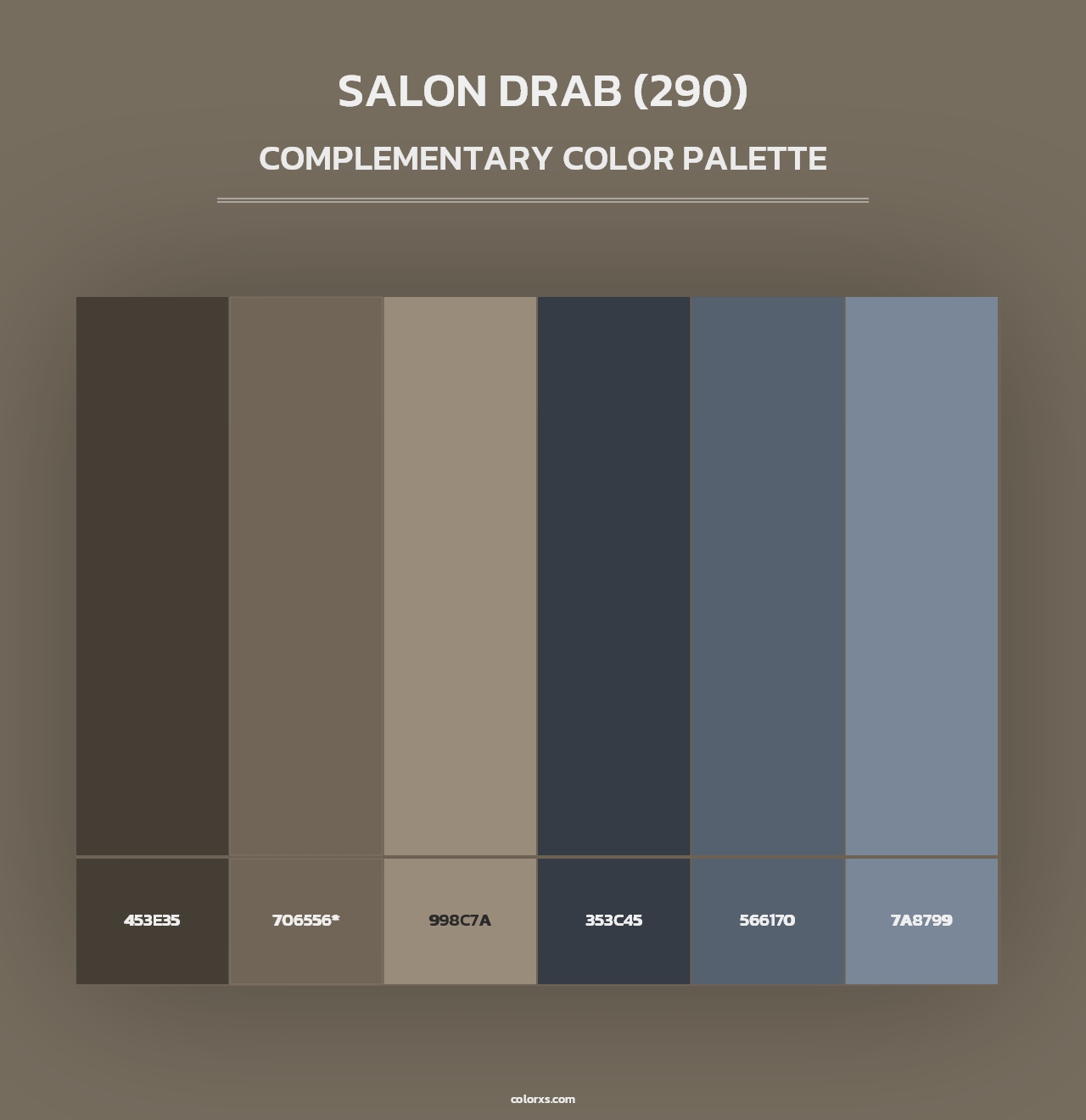 Salon Drab (290) - Complementary Color Palette