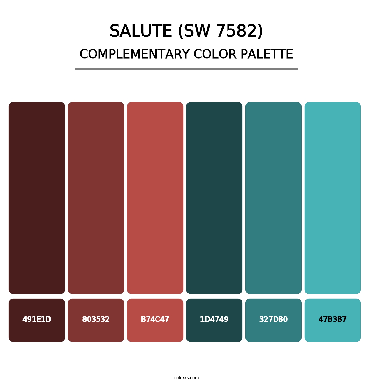 Salute (SW 7582) - Complementary Color Palette