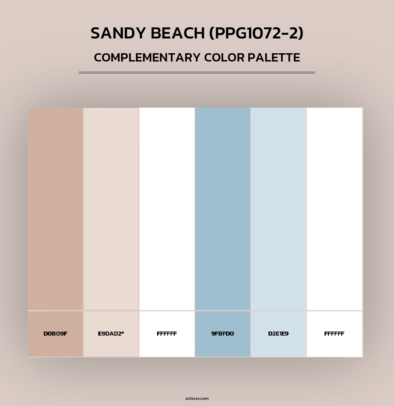 Sandy Beach (PPG1072-2) - Complementary Color Palette