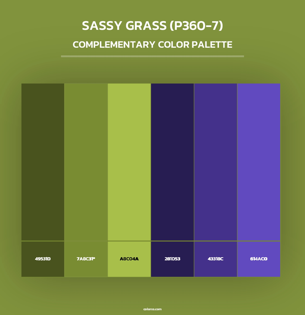 Sassy Grass (P360-7) - Complementary Color Palette