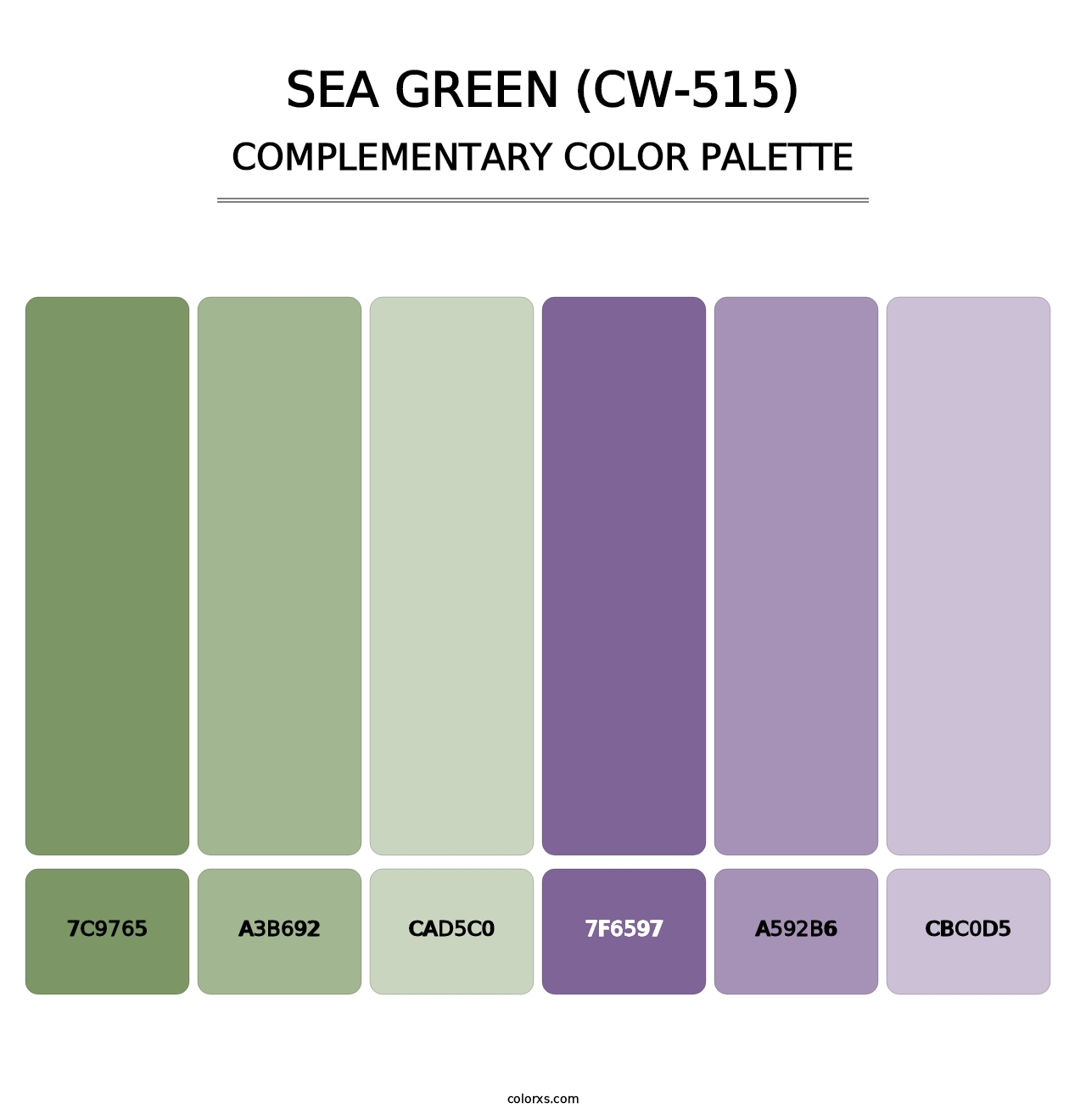 Sea Green (CW-515) - Complementary Color Palette