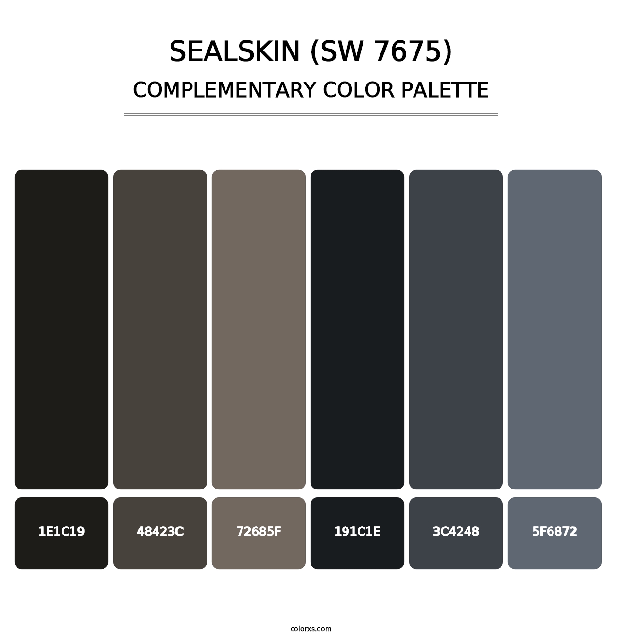 Sealskin (SW 7675) - Complementary Color Palette