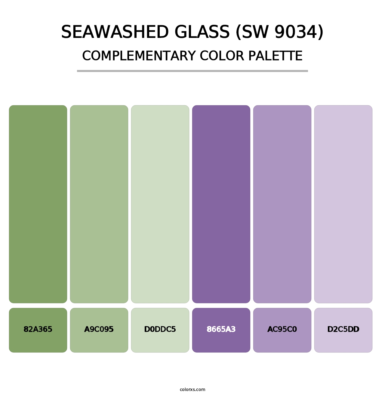 Seawashed Glass (SW 9034) - Complementary Color Palette
