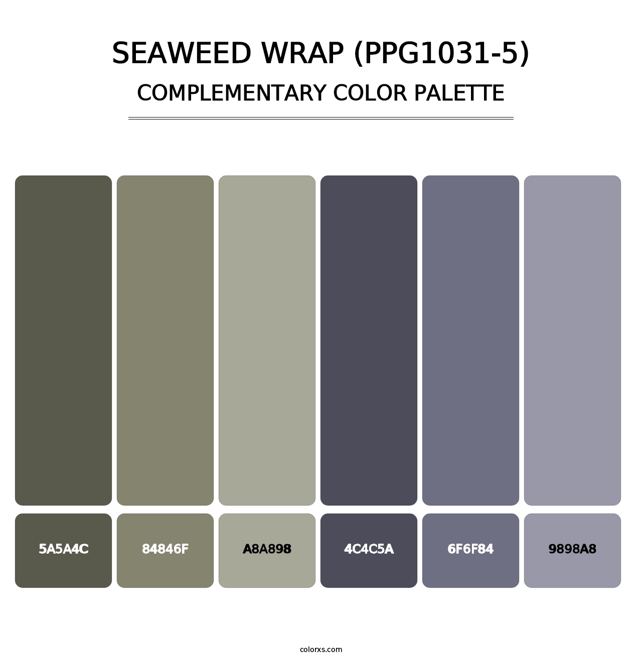 Seaweed Wrap (PPG1031-5) - Complementary Color Palette