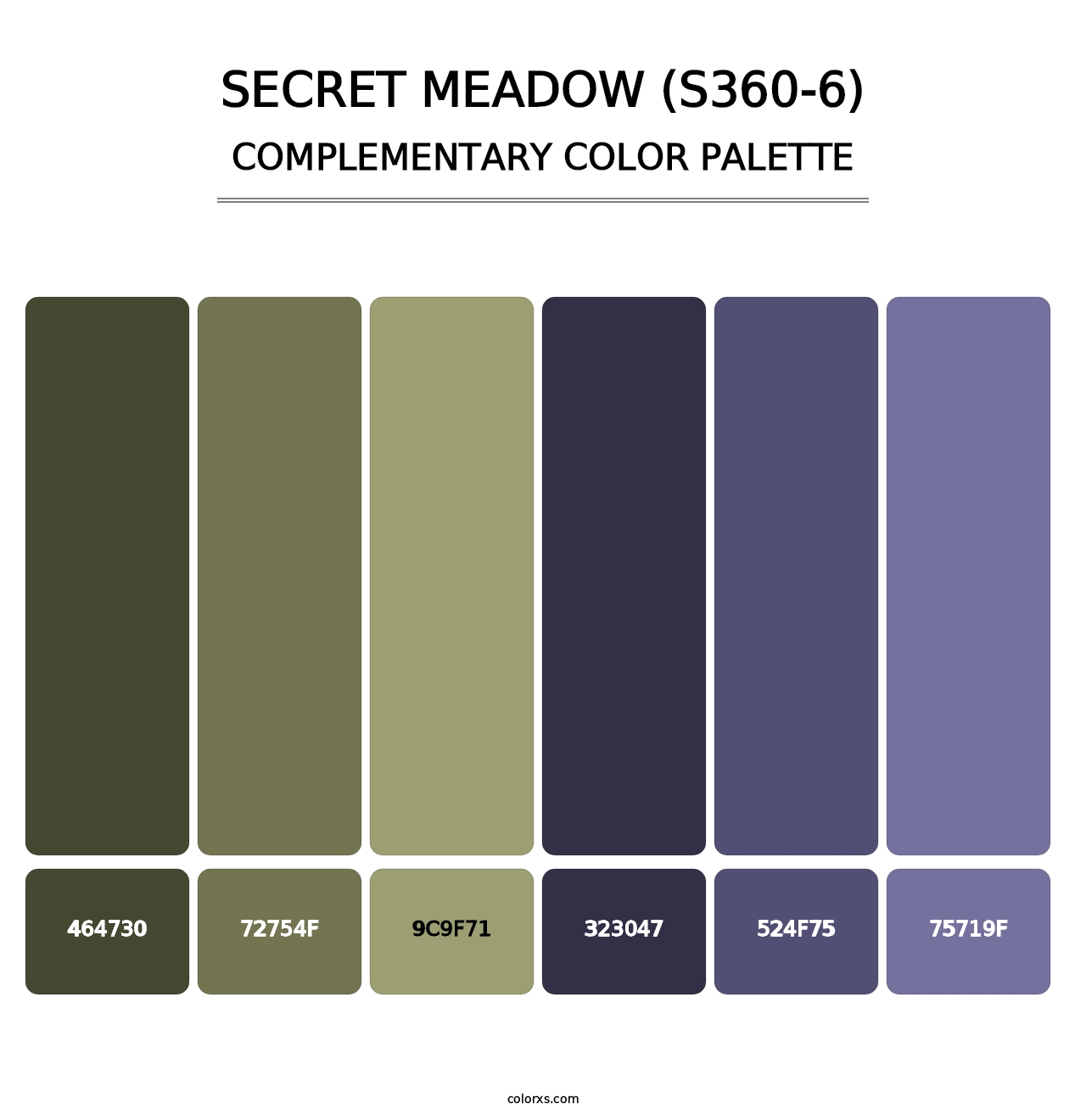 Secret Meadow (S360-6) - Complementary Color Palette