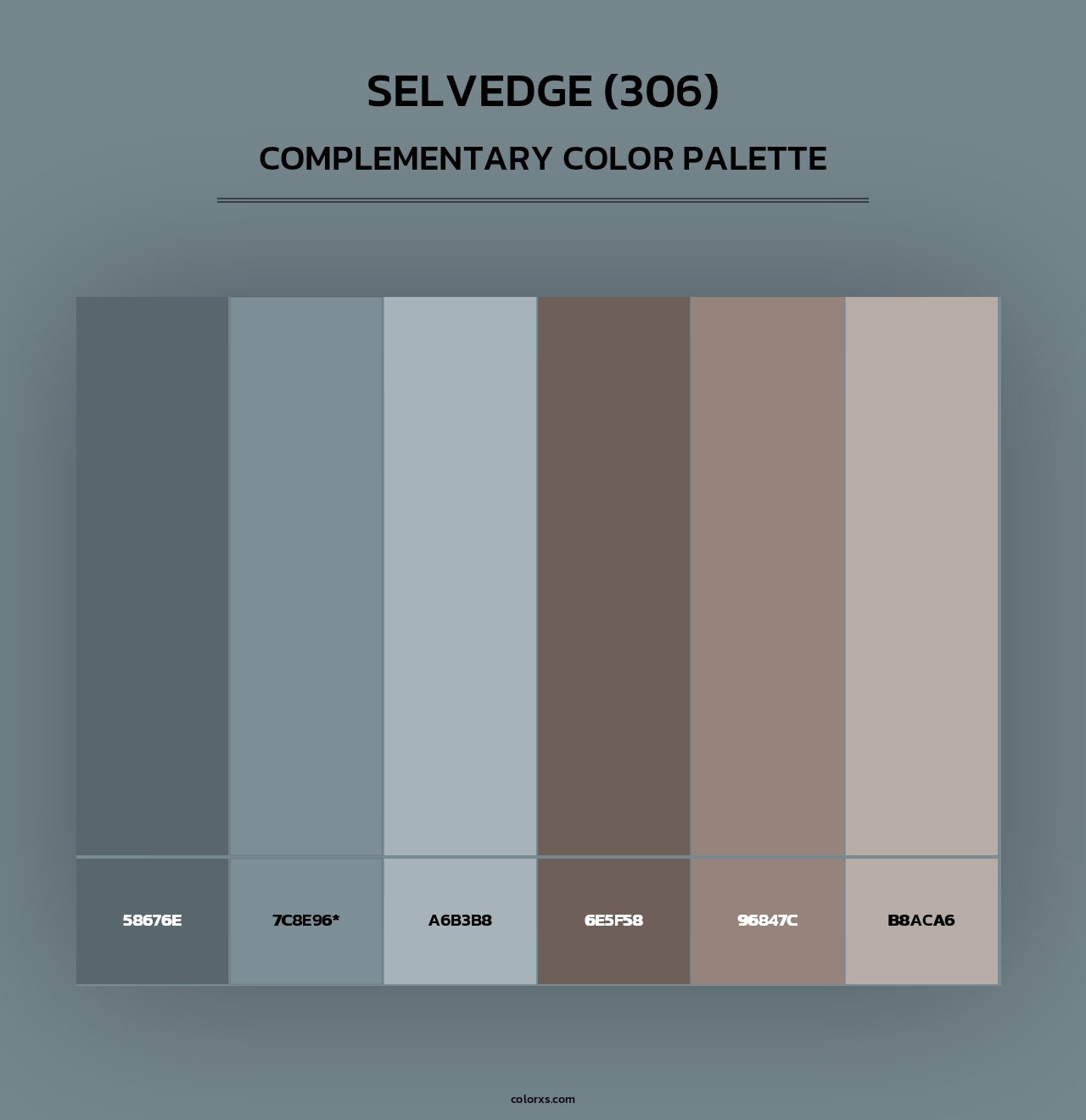 Selvedge (306) - Complementary Color Palette