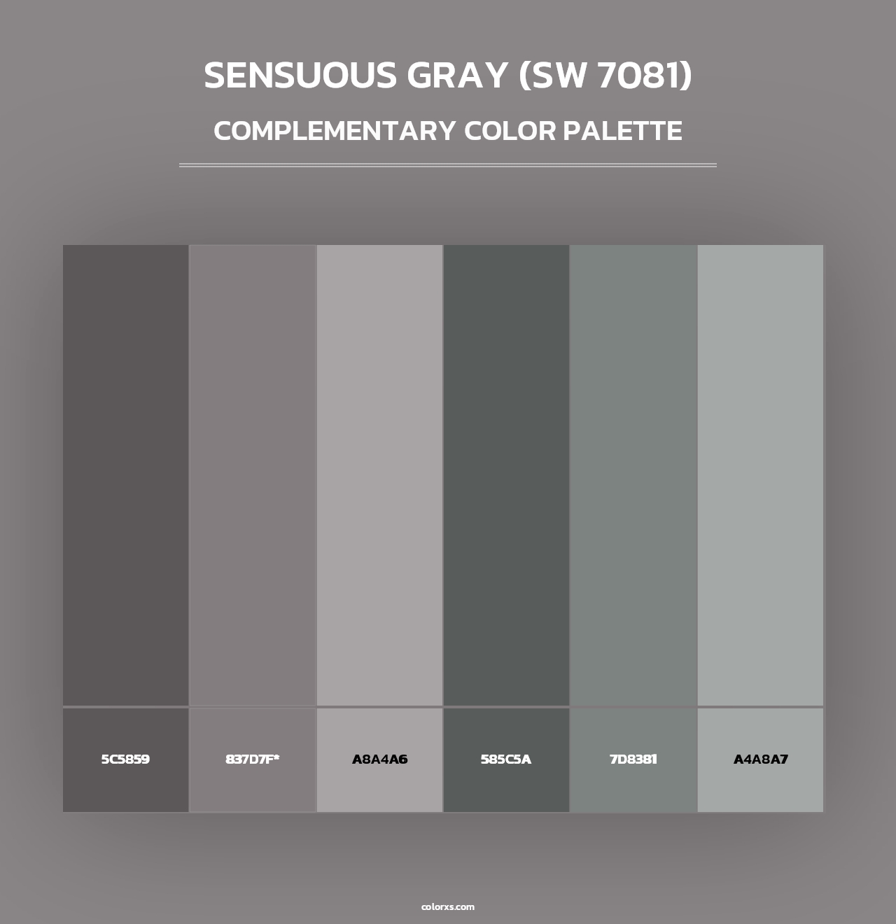 Sensuous Gray (SW 7081) - Complementary Color Palette