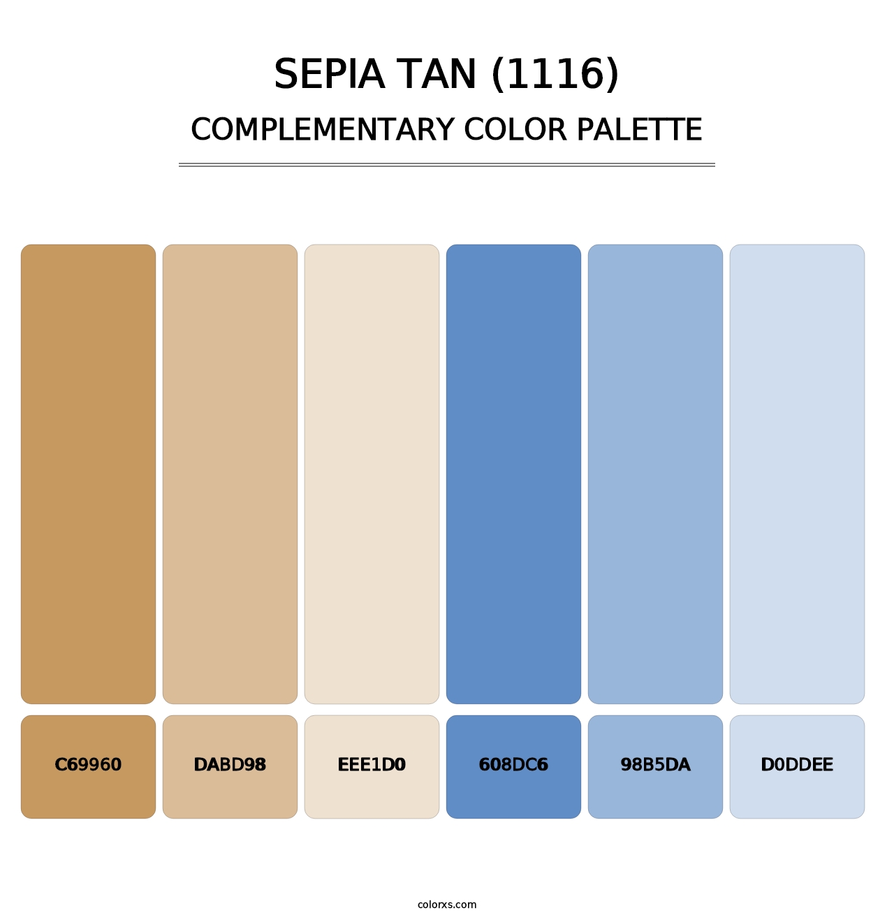 Sepia Tan (1116) - Complementary Color Palette