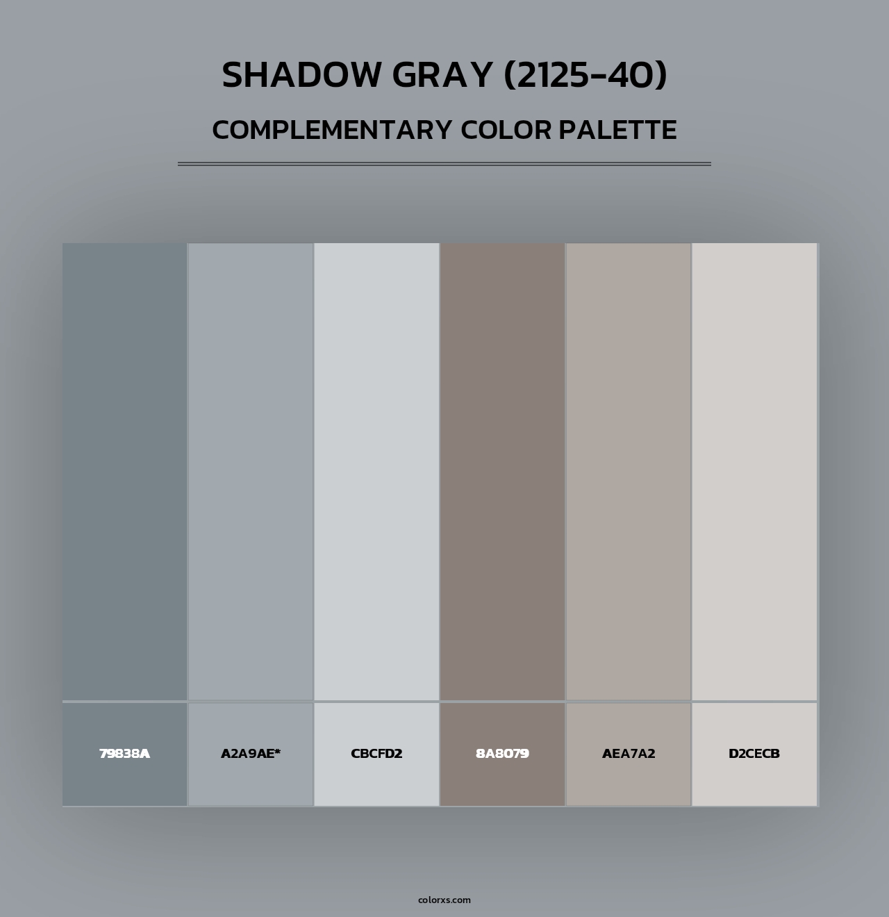 Shadow Gray (2125-40) - Complementary Color Palette