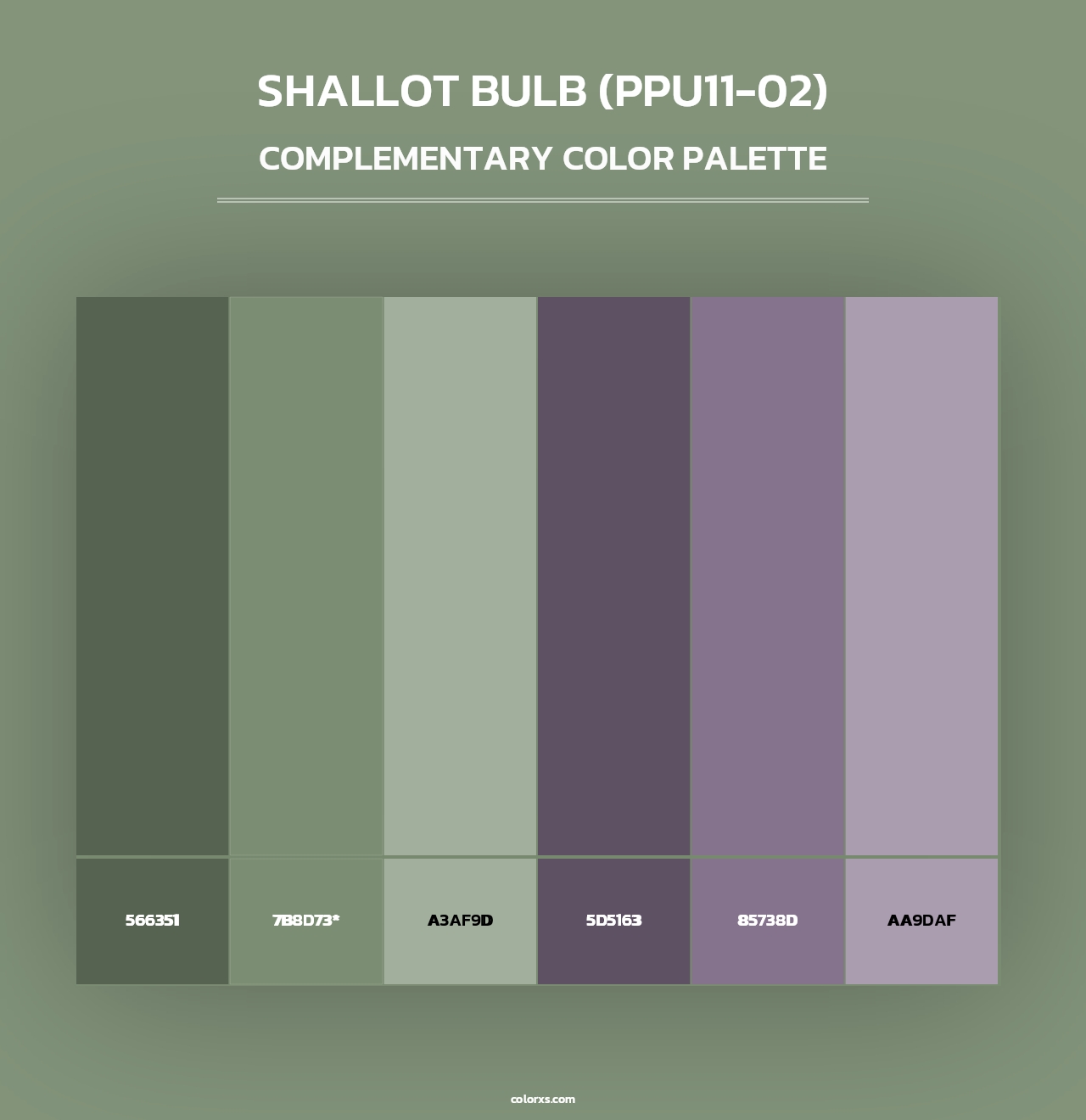 Shallot Bulb (PPU11-02) - Complementary Color Palette