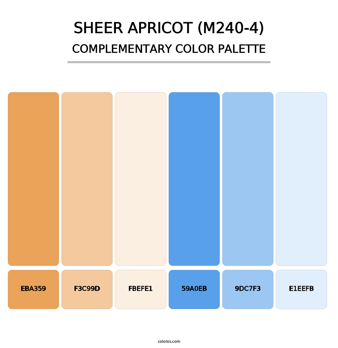 Sheer Apricot (M240-4) - Complementary Color Palette