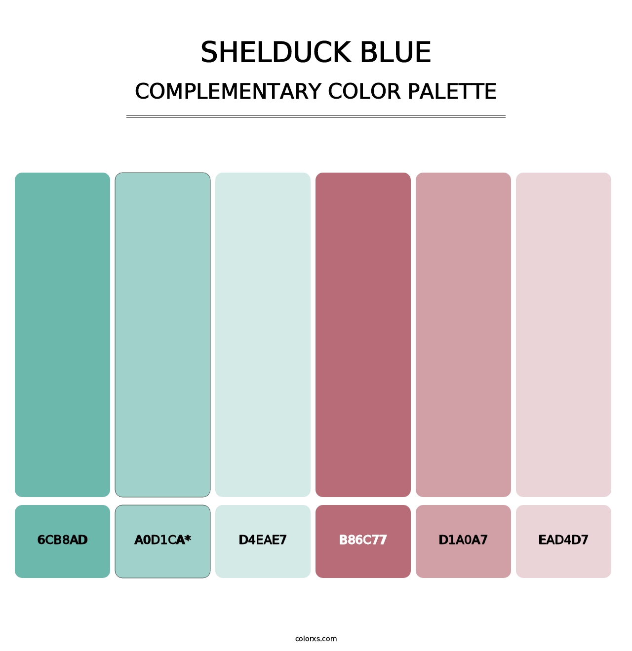 Shelduck Blue - Complementary Color Palette