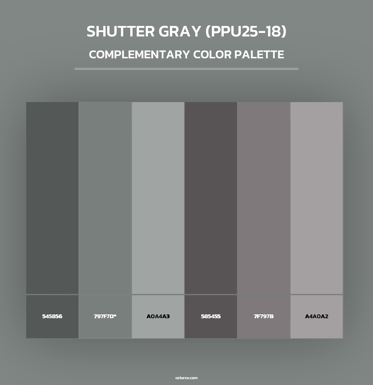 Shutter Gray (PPU25-18) - Complementary Color Palette