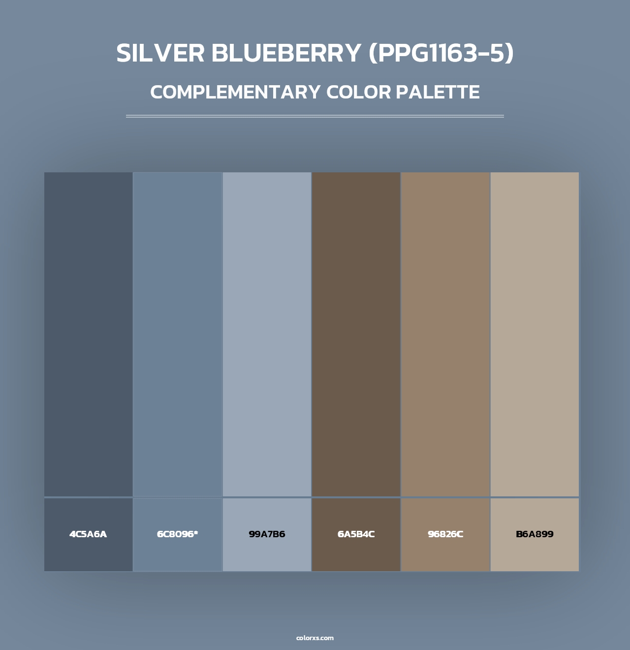 Silver Blueberry (PPG1163-5) - Complementary Color Palette