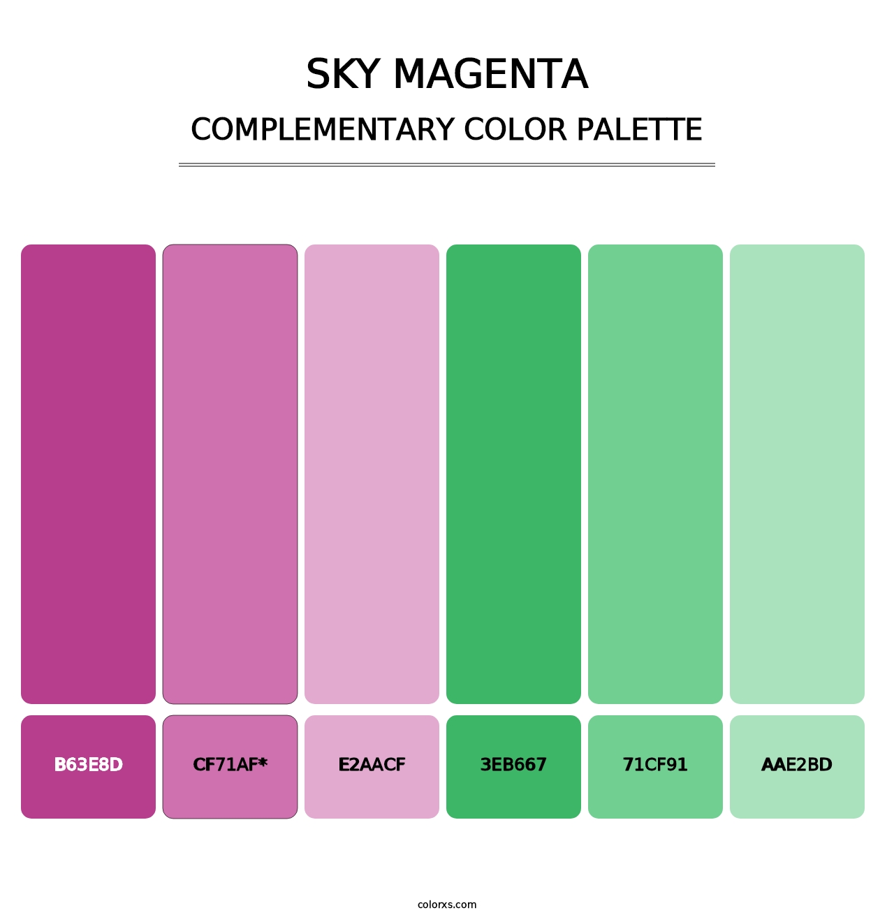 Sky Magenta - Complementary Color Palette