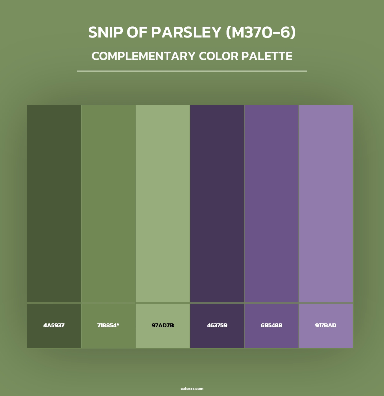 Snip Of Parsley (M370-6) - Complementary Color Palette