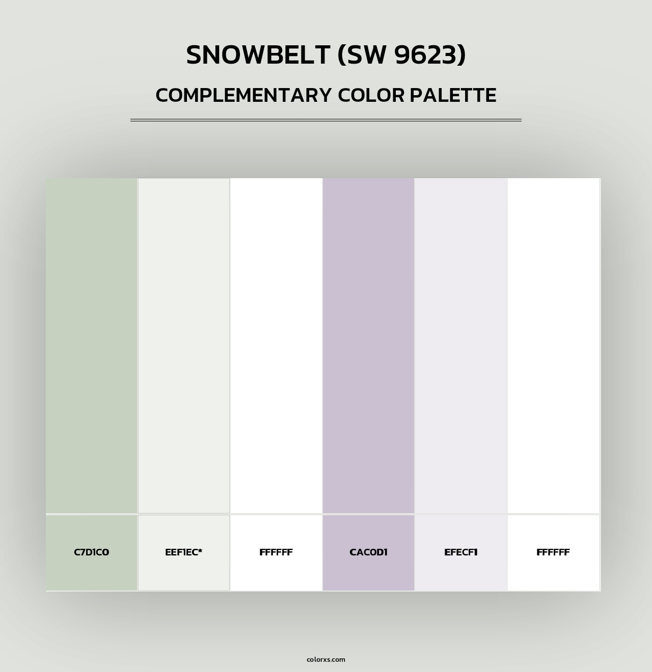 Snowbelt (SW 9623) - Complementary Color Palette
