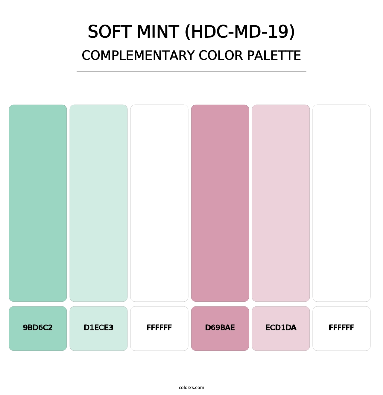 Soft Mint (HDC-MD-19) - Complementary Color Palette