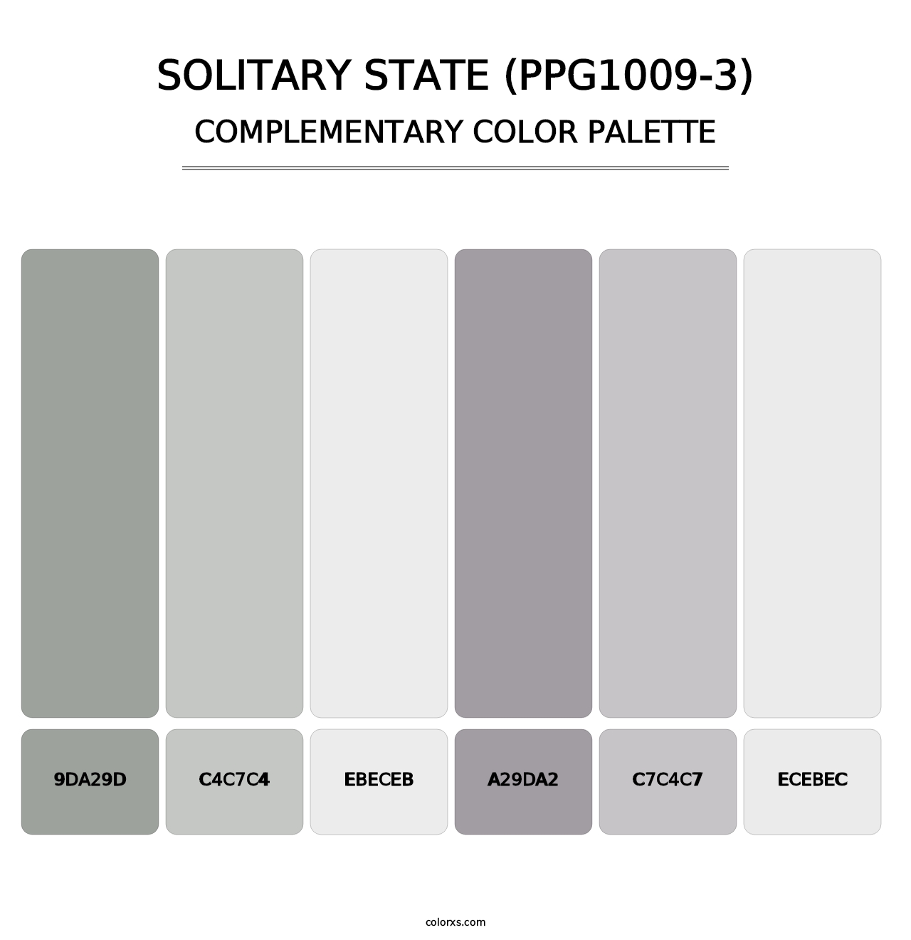 Solitary State (PPG1009-3) - Complementary Color Palette