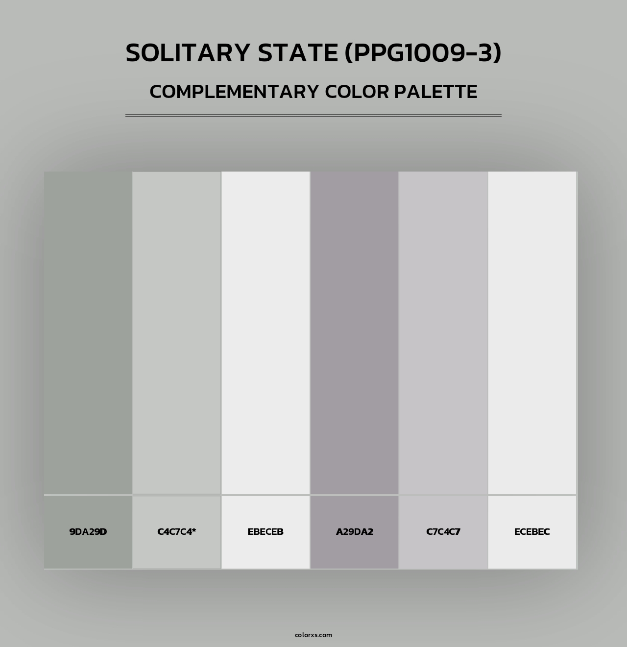 Solitary State (PPG1009-3) - Complementary Color Palette