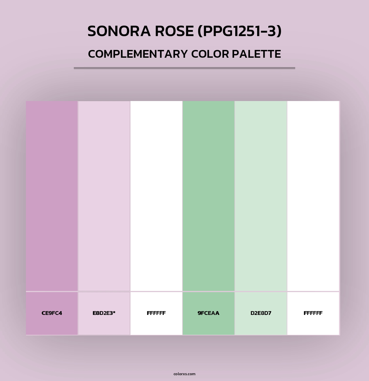 Sonora Rose (PPG1251-3) - Complementary Color Palette