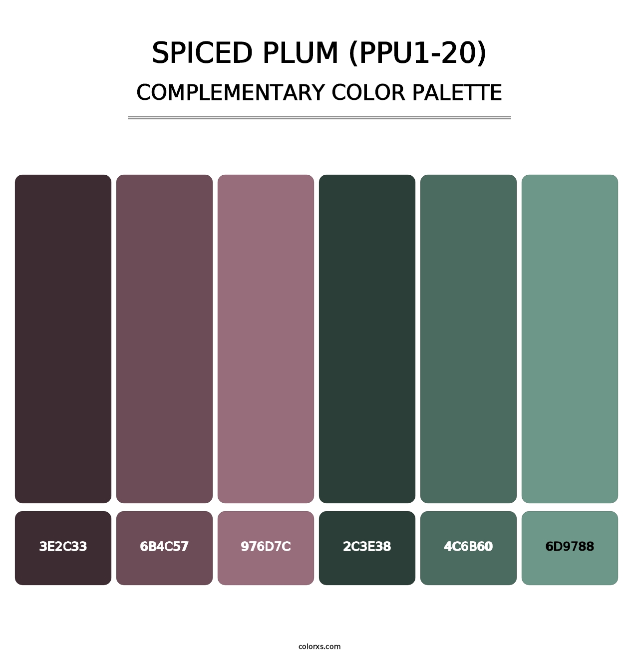 Spiced Plum (PPU1-20) - Complementary Color Palette