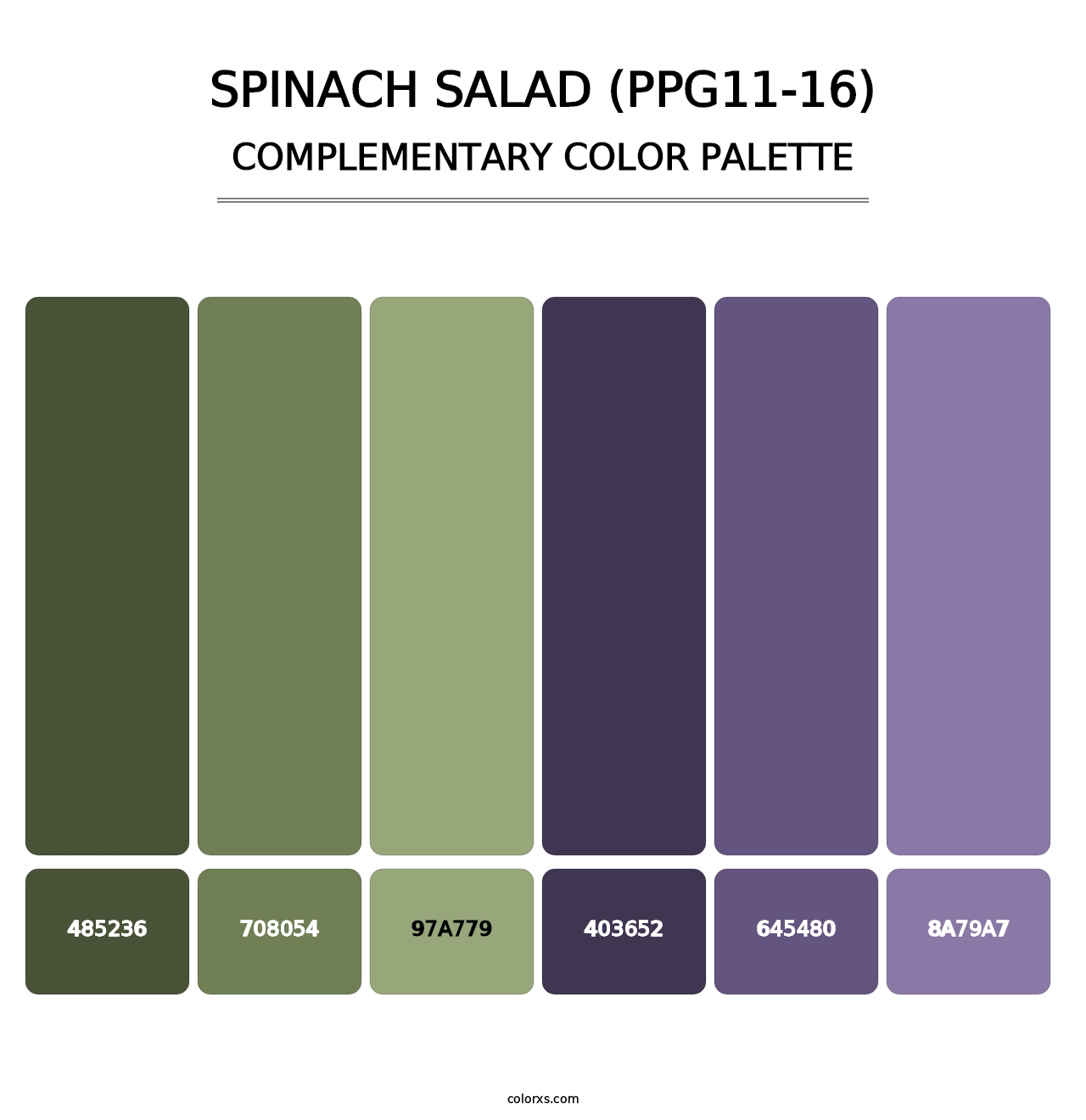 Spinach Salad (PPG11-16) - Complementary Color Palette