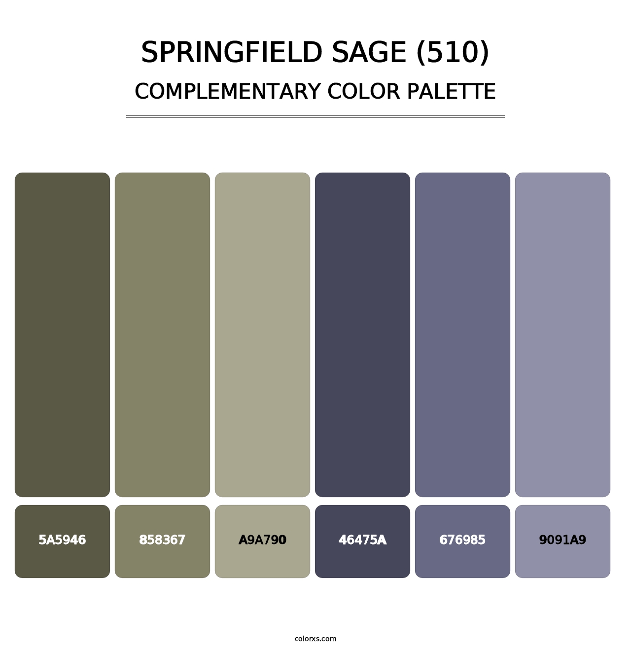 Springfield Sage (510) - Complementary Color Palette