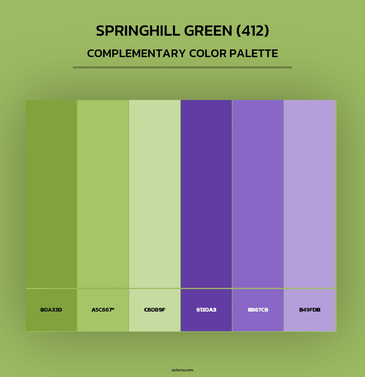 Springhill Green (412) - Complementary Color Palette