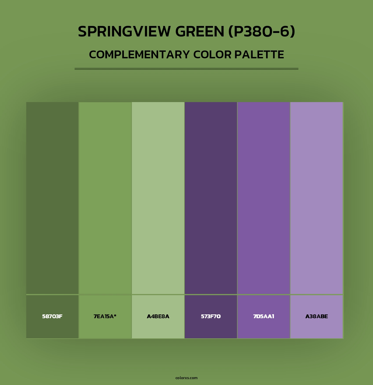 Springview Green (P380-6) - Complementary Color Palette