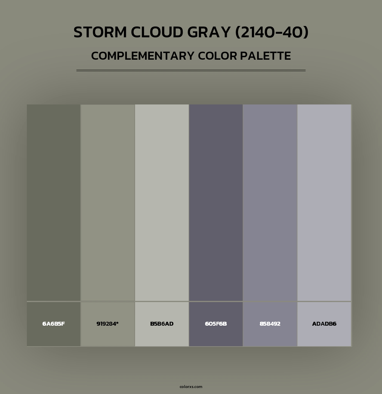 Storm Cloud Gray (2140-40) - Complementary Color Palette