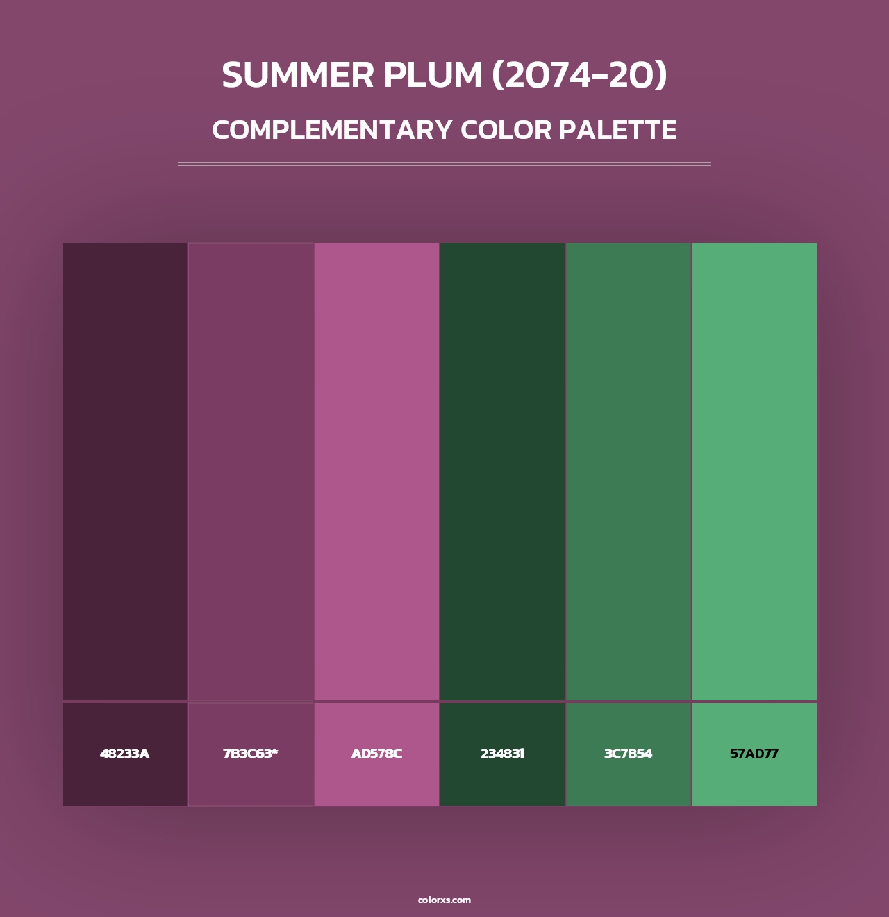 Summer Plum (2074-20) - Complementary Color Palette