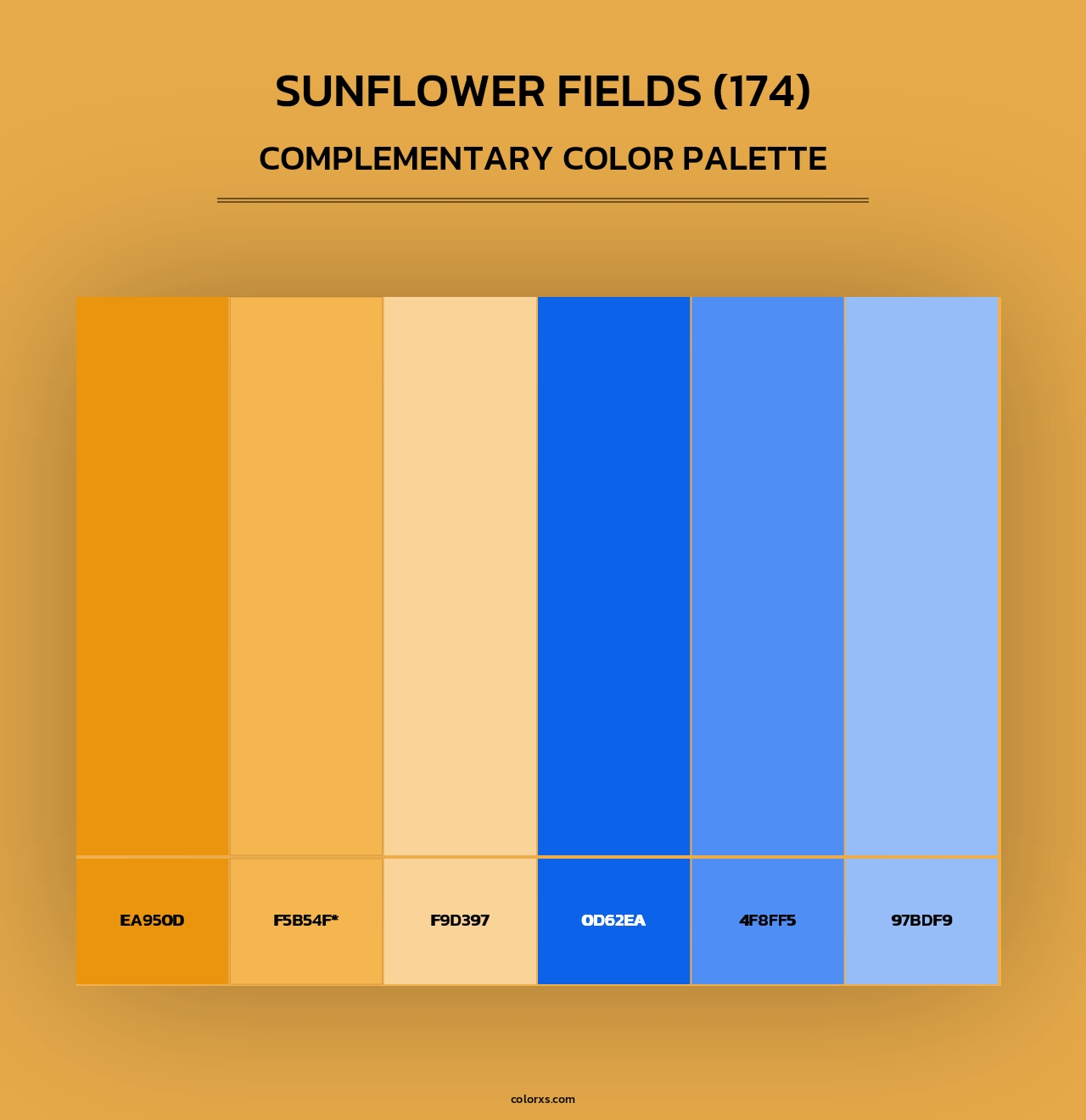 Sunflower Fields (174) - Complementary Color Palette