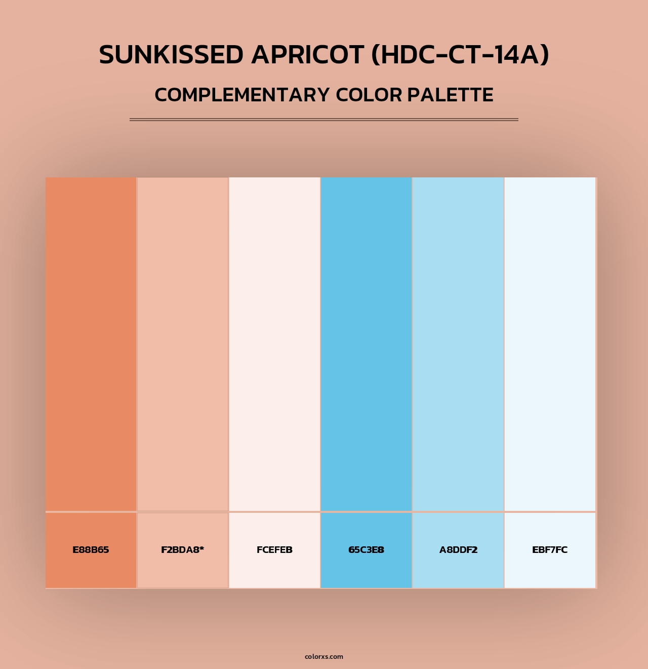 Sunkissed Apricot (HDC-CT-14A) - Complementary Color Palette