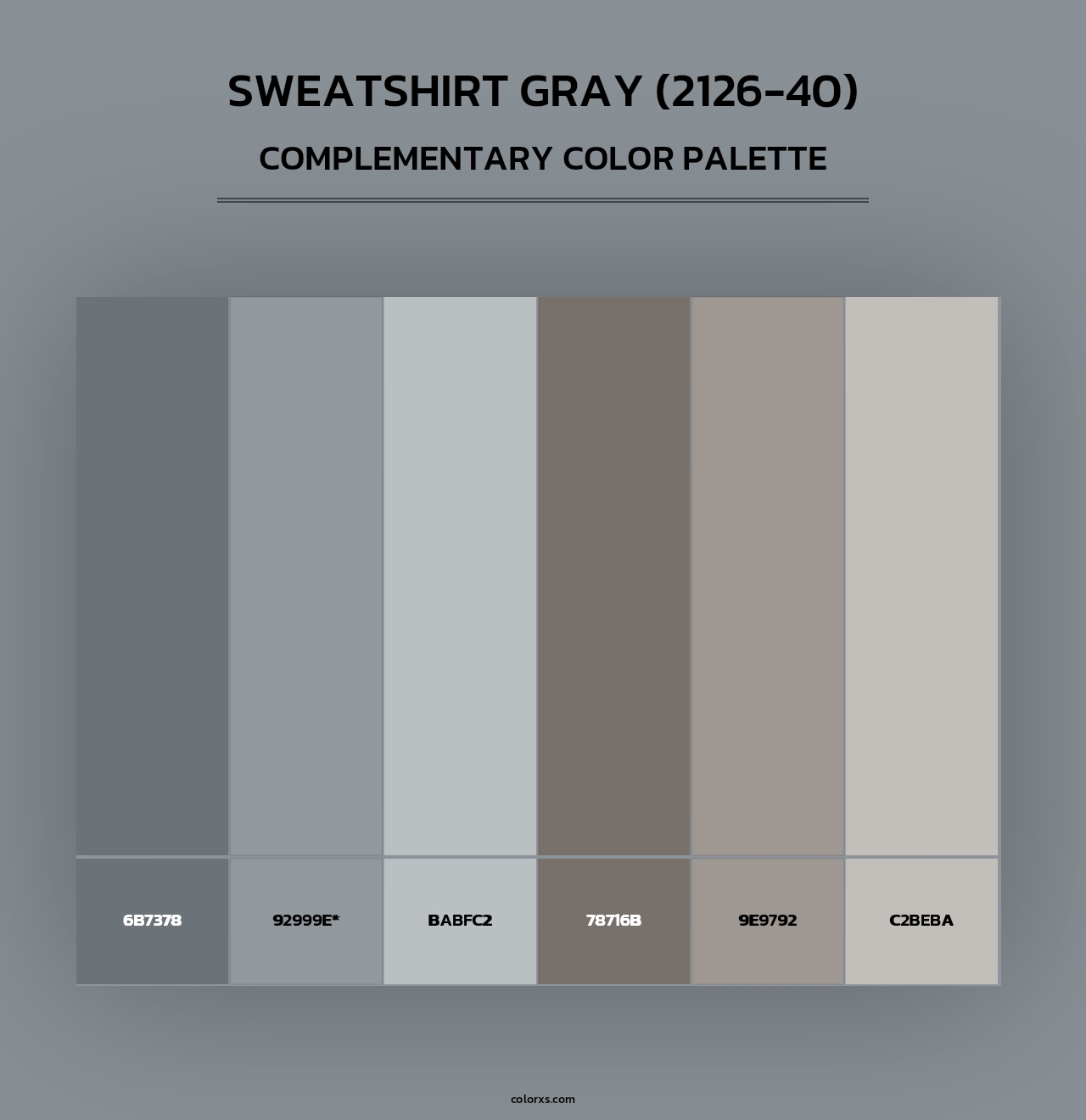 Sweatshirt Gray (2126-40) - Complementary Color Palette
