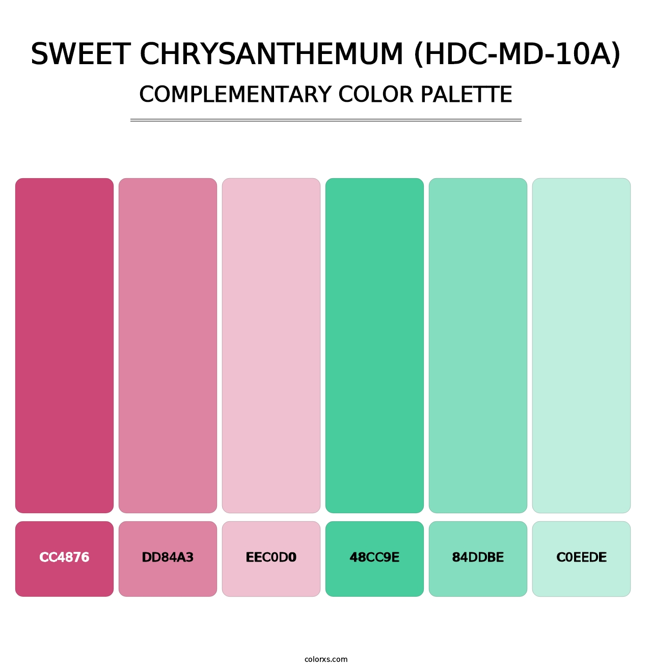 Sweet Chrysanthemum (HDC-MD-10A) - Complementary Color Palette