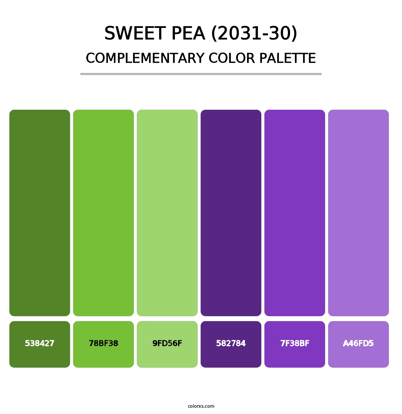 Sweet Pea (2031-30) - Complementary Color Palette