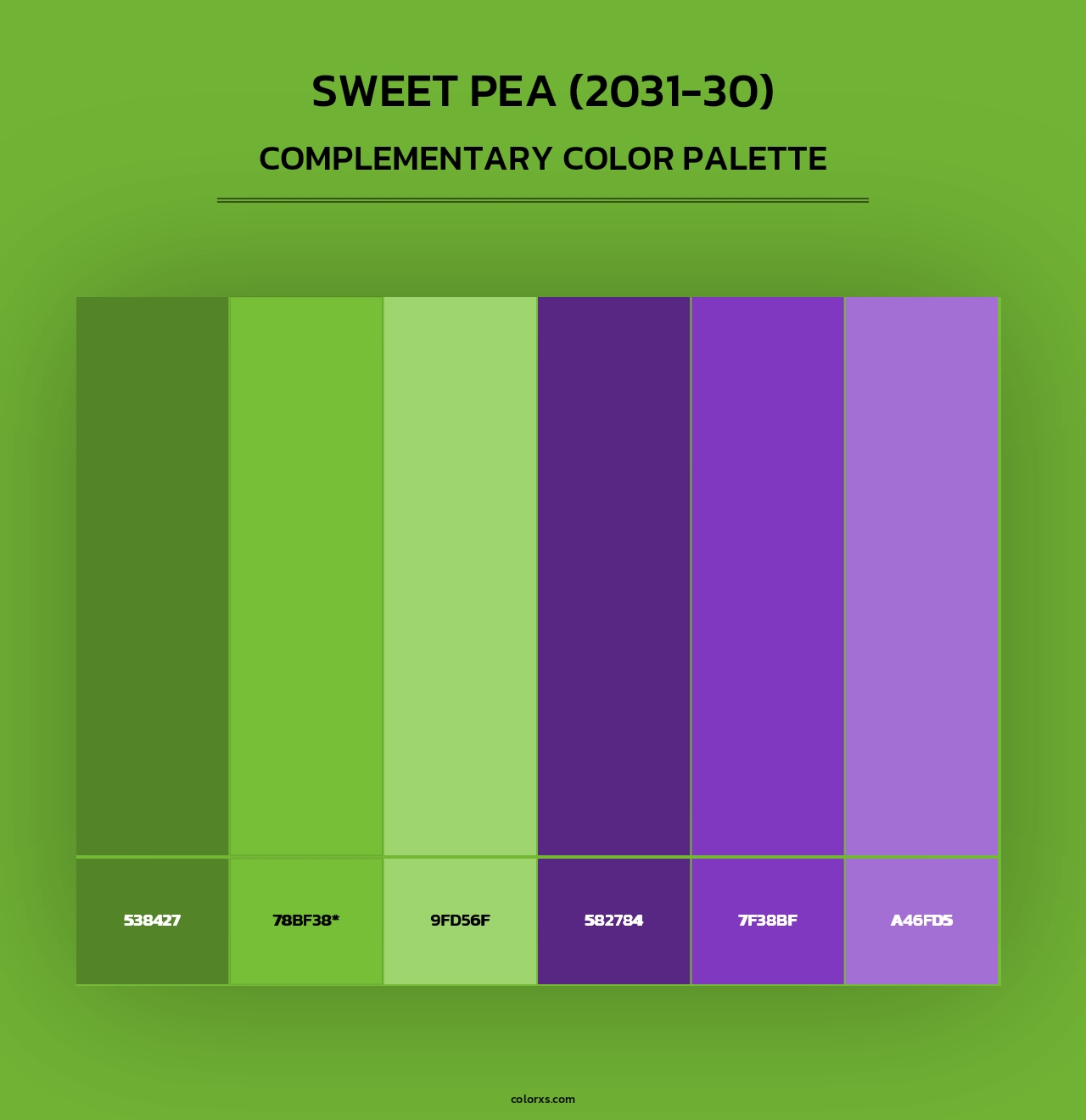Sweet Pea (2031-30) - Complementary Color Palette