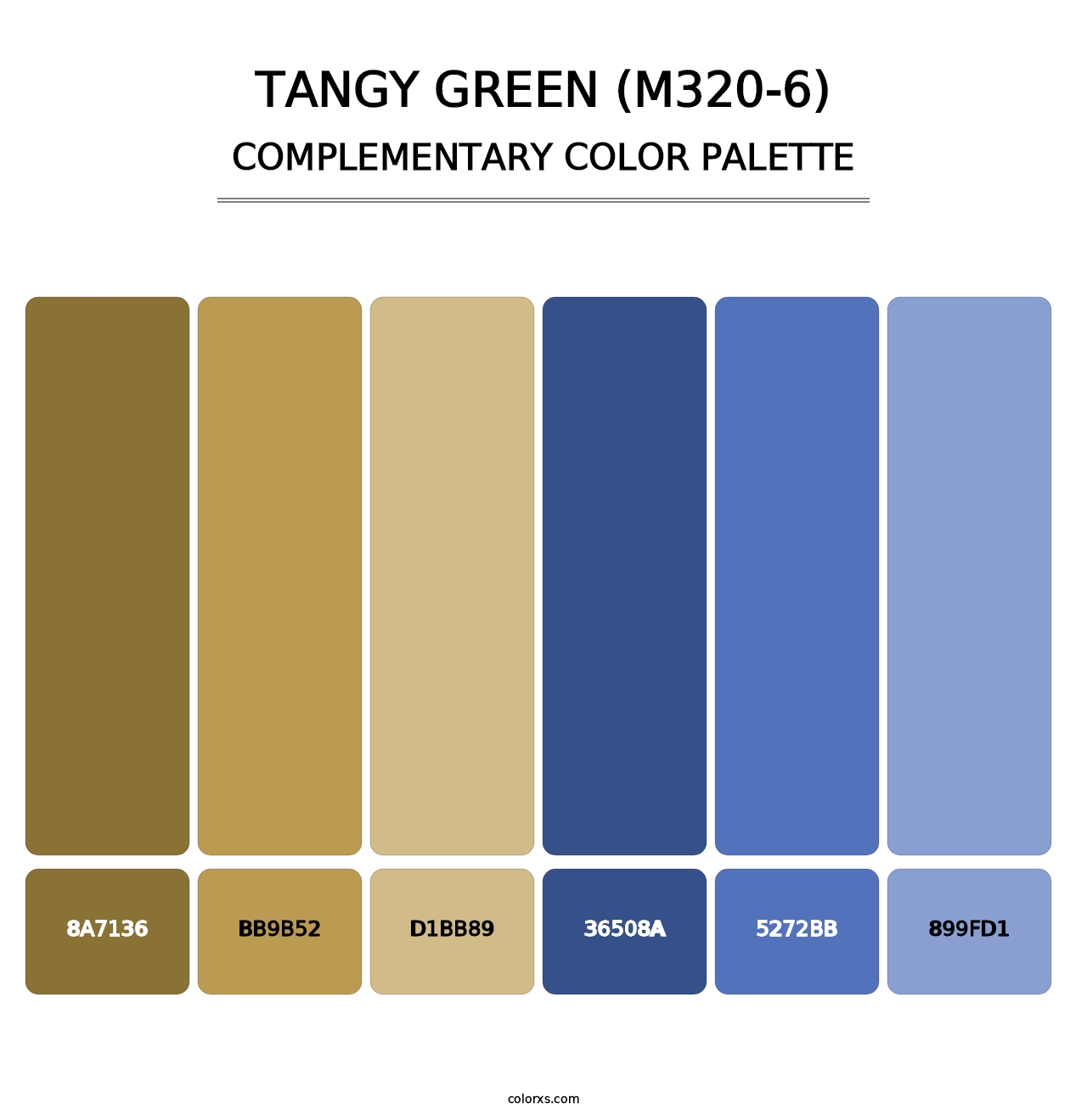 Tangy Green (M320-6) - Complementary Color Palette