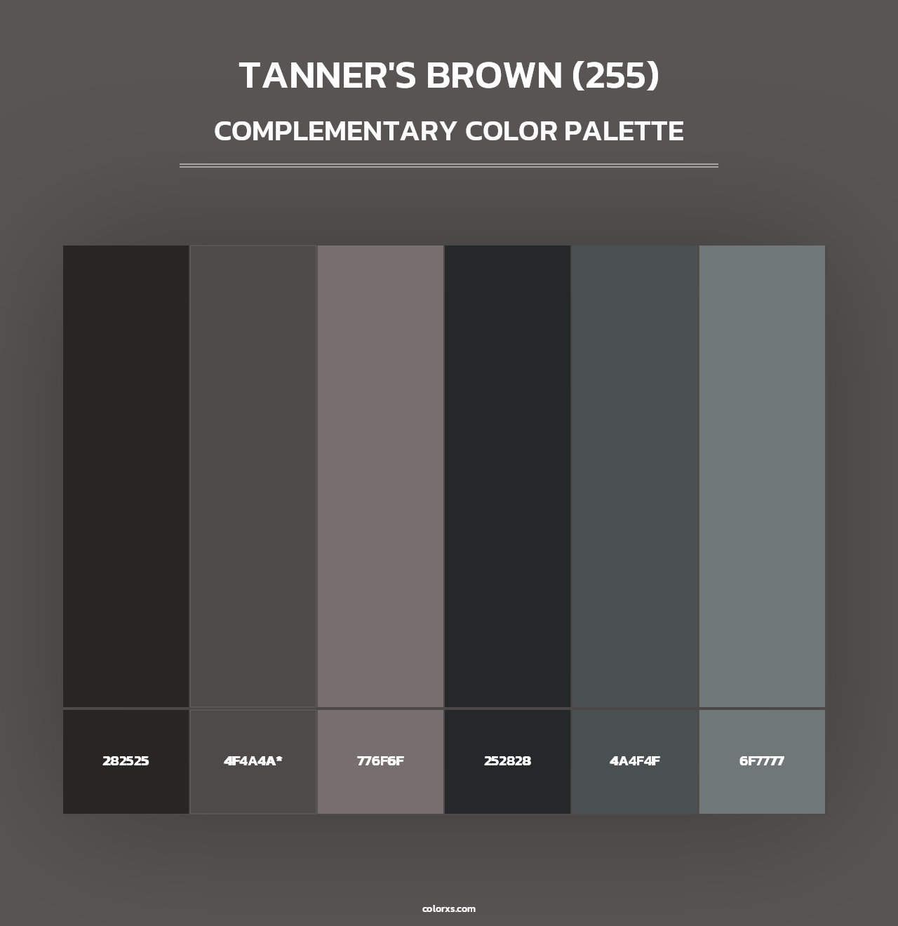 Tanner's Brown (255) - Complementary Color Palette