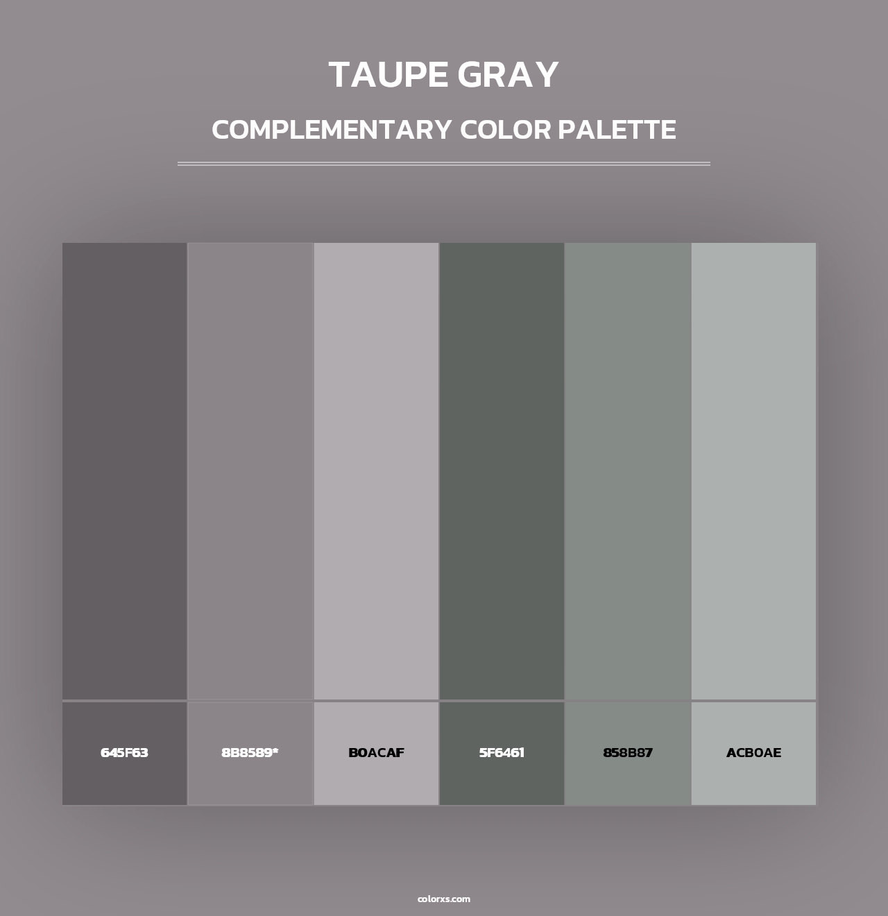 Taupe Gray - Complementary Color Palette