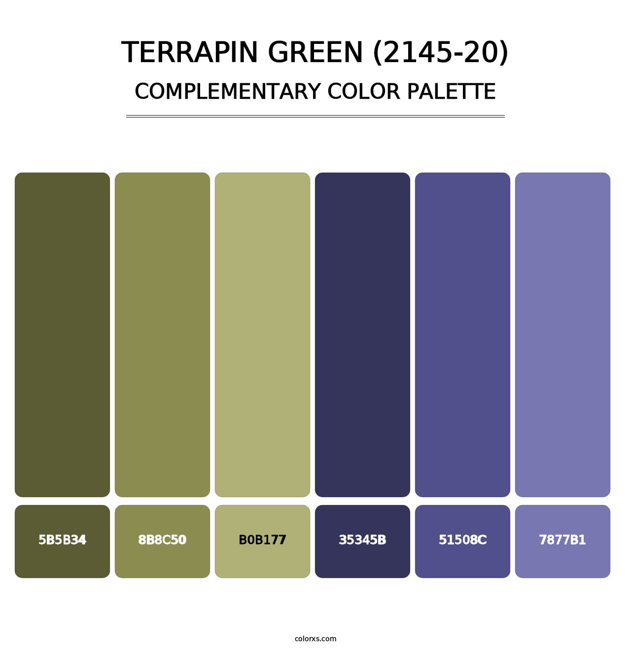 Terrapin Green (2145-20) - Complementary Color Palette