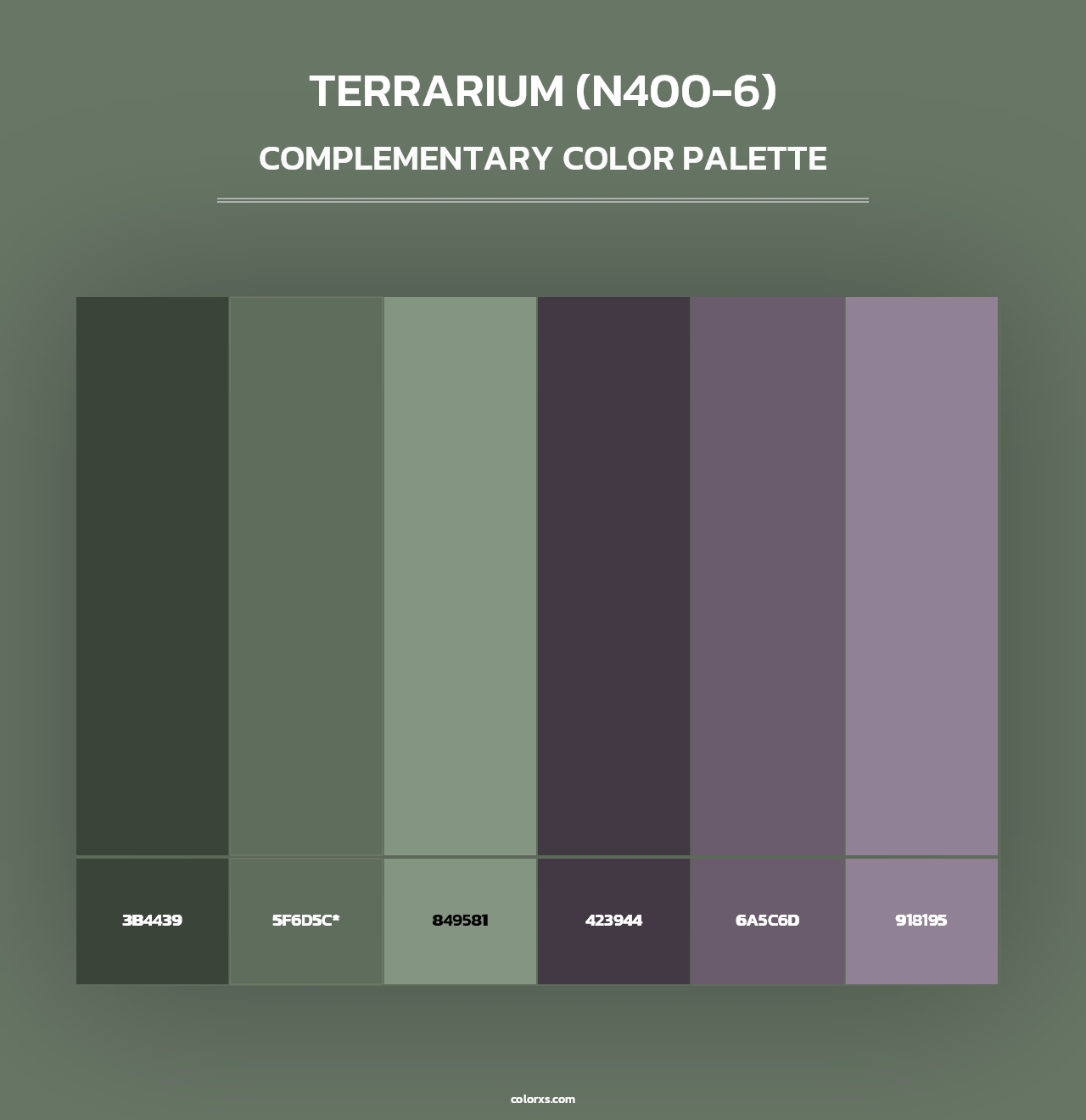 Terrarium (N400-6) - Complementary Color Palette