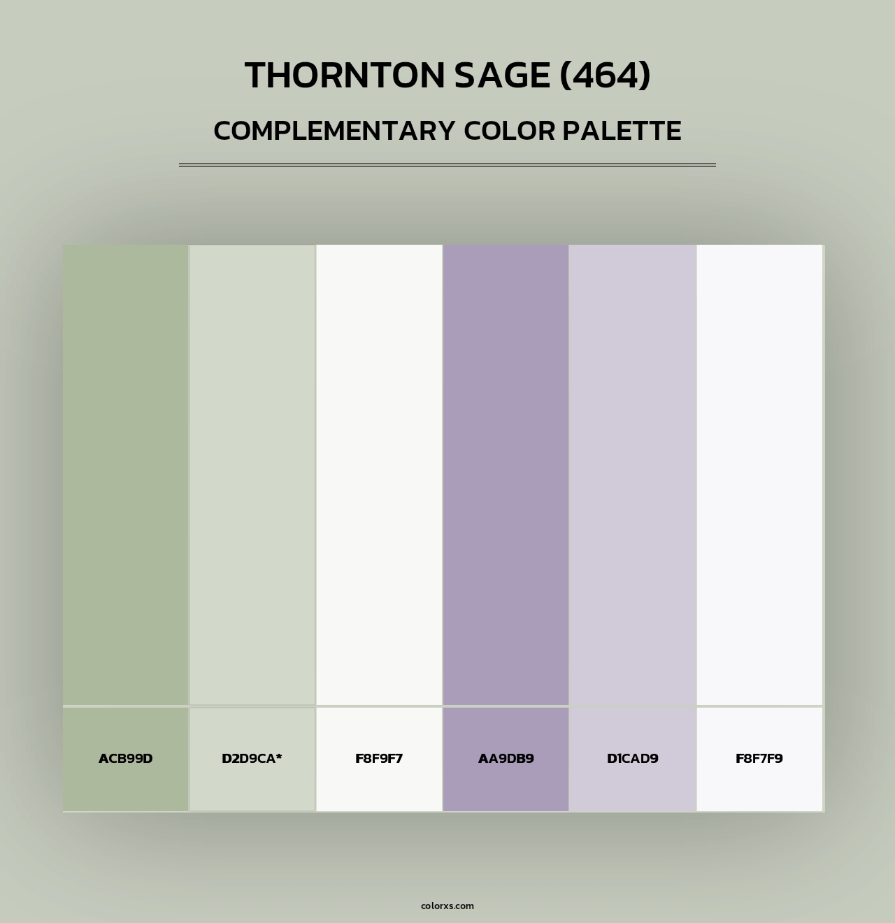 Thornton Sage (464) - Complementary Color Palette